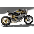 Paolo Tex Design SC-S2R Bodykits for Ducati Monster S2R 1000 (but will fit most Monsters from 02-08)